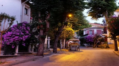 Büyükada'da tarihi otelde yangın