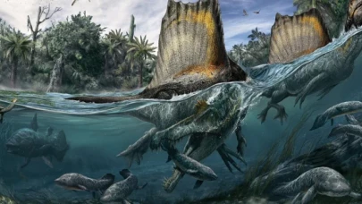 Spinosaurus dinozoru su altında avlanabilecek kemik yoğunluğuna sahip