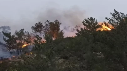 Bodrum’da ormanlık ve makilik alanda yangın çıktı