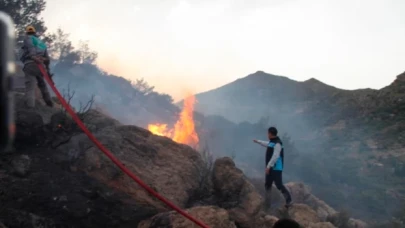 Bodrum'daki ormanlık ve makilik yangınıyla ilgili yakalan 3 şüpheli tutuklandı