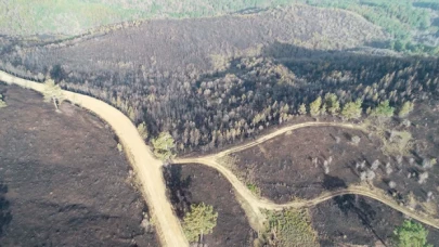 Çanakkale'deki orman yangını 18 saatin ardından kontrol altına alındı