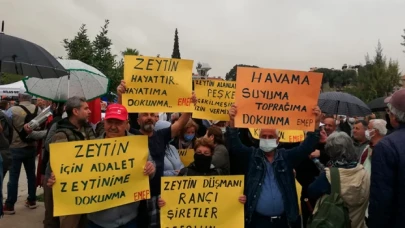 Muğla Milas'ta 'Zeytin hayattır, hayatıma dokunma' mitingi düzenlendi