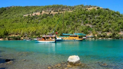 Denizde balığın üzerine basan öğretmen zehirlendi