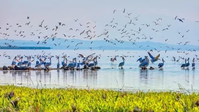 Gelecek nesiller için canlı çeşitliliği bize emanet