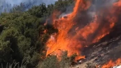 Antalya’da orman yangını çıktı