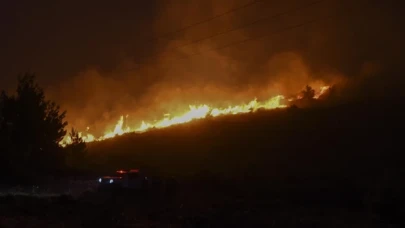 Atina yakınlarında orman yangını çıktı