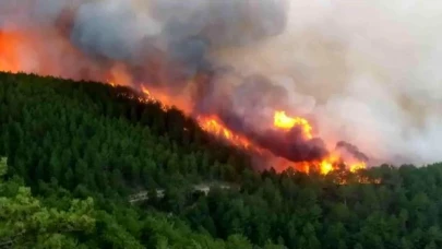 Manisa ve Kütahya'da orman yangını!