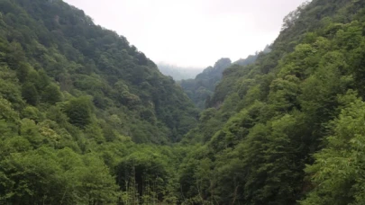 Rize’de ormanlara giriş-çıkış yasaklandı