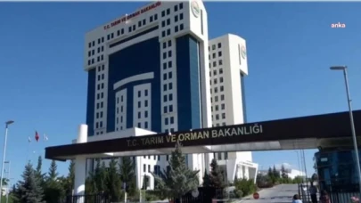 Tarım ve Orman Bakanlığı’ndan “Tırtıl İstilası” açıklaması