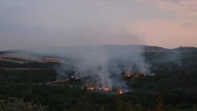 Bulgaristan’da askerlerin patlayıcı madde imha etmesi sonrasında orman yangını çıktı