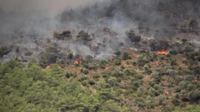 Mersin’deki orman yangını 4’üncü gününde kontrol altına alındı