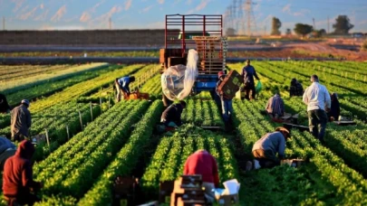 Üretici ve market arasındaki fiyat farkı uçurumu ağustosta 8 katı aştı