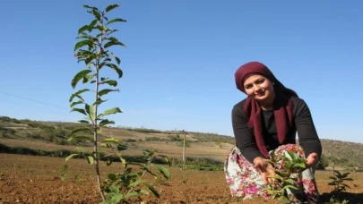 Bursa Yenişehir tarımına alternatif ürün arayışları