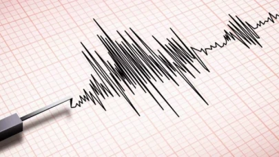 Düzce depremi sonrası uzmanlar konuştu