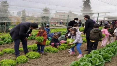 İstanbul Beylikdüzü’nde kış hasadı