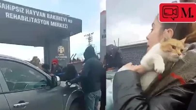 Konya'da önce köpekler, şimdi de kediler!