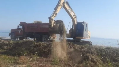 Mevsimlik Bakım ve Budama Çalışmaları Devam Ediyor