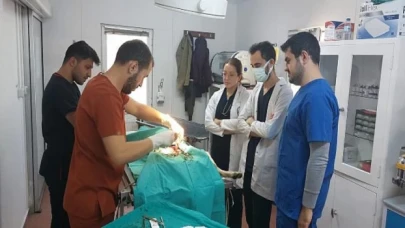 Veteriner doktor adaylarına uygulamalı eğitim