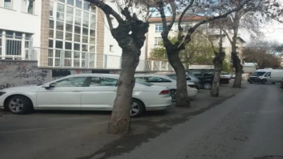 Afyonkarahisar’da otopark için ağaçların köküne asfalt döktüler!