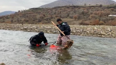 ’Batman Çöpçü Balığı’ için Sason Çayı temizleniyor