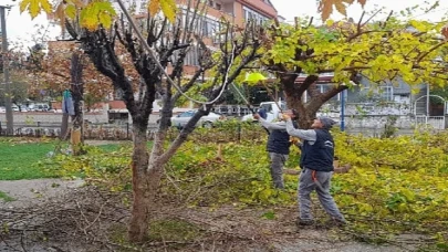 Burhaniye Merkezde Parklar Yenileniyor