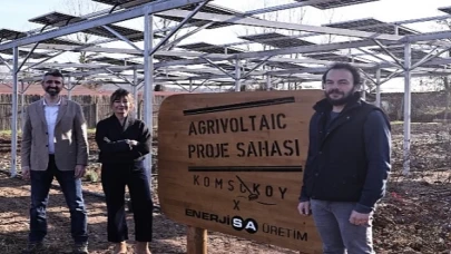 Enerjisa Üretim, Komşuköy İş Birliğiyle Agrivoltaik Tarıma Başlıyor