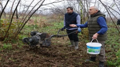 Fındık bahçelerinin altı yem deposu