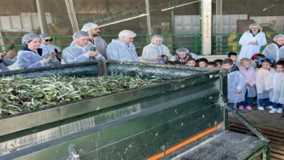 İspanyollardan Türk zeytin zeytinyağına yoğun ilgi