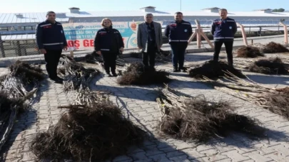 Manisa Gördesli üreticilere fidan desteği