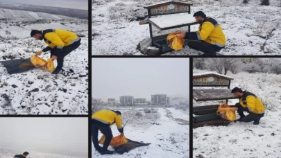 Nevşehir Belediyesi’nden can dostlara yakın ilgi