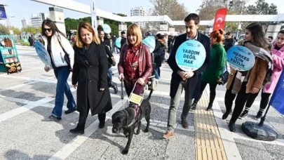 Rehber köpekler toplu ulaşımda