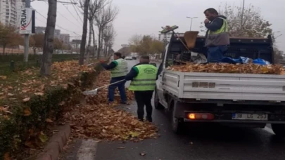 Toplanan gazel gübreye dönüşüyor