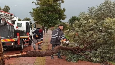 Antalya Büyükşehir’den olumsuzluklara hızlı müdahale