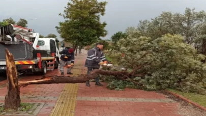 Antalya’yı fırtına vurdu