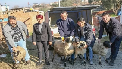 Başkan Çerçioğlu Koyunları Telef Olan Üreticiye Destek Oldu