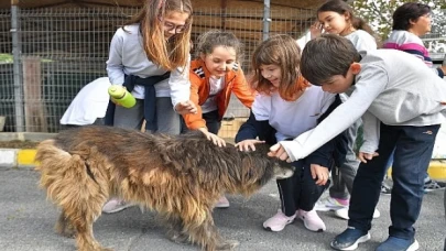 Beylikdüzü’nde Patili Dostlar Mutlu