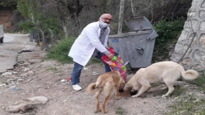 Bursalı veterinerden ’bir kap su, bir kap mama’ çağrısı