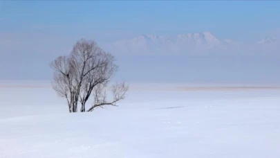 Çin'in kuzeyindeki Mohe'de sıfırın altında 53 derece görüldü