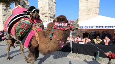 Efes Selçuk Deve Güreşleri Festivalinde Altın Havan Sahibini Buldu