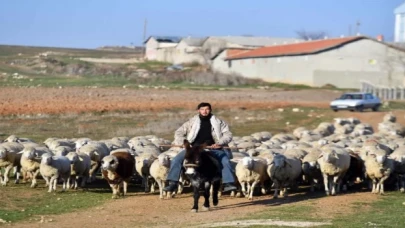 Hayvan yetiştiricilerine eğitim desteği