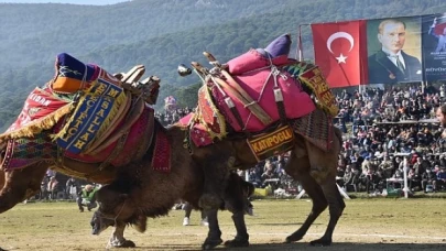 Pehlivan develer Torbalı Arenasına inecek