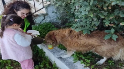 14 yaşındaki depremzede Ege’nin hayvanseverliği takdir topladı