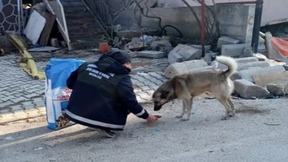 Afet bölgesindeki can dostlara Osmangazi şefkati