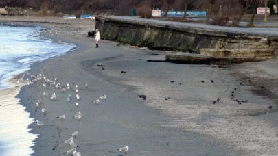 Avcılar'da deniz 15 metre çekildi, kayalıklar görüldü