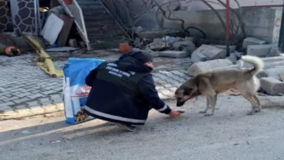 Bursa Osmangazi’den afet bölgesindeki can dostları unutmadı