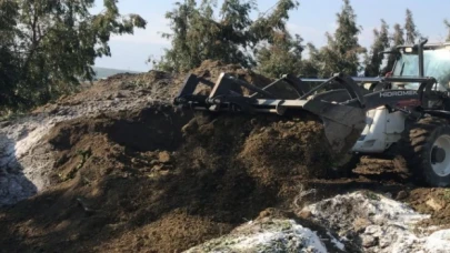 Depremde telef olan hayvanlar hastalık riskine karşı gömüldü