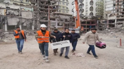 Diyarbakır’da ’ağır hasarlı’ binadan kurtarılan kedi sayısı 8 oldu