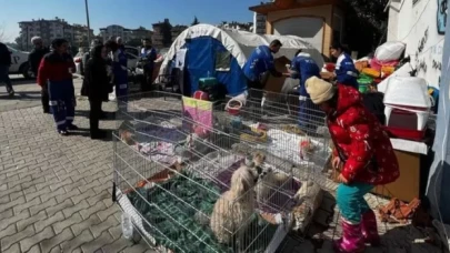 Enkazdan çıkarılan hayvanlar için sahra çadırı kuruldu