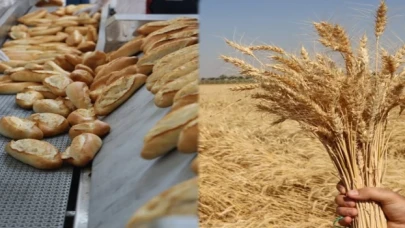 Hem ekmek üretiyor, hem de buğdayı