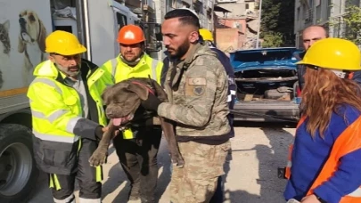 İzmir Büyükşehir Belediyesi depremden etkilenen hayvanları unutmadı